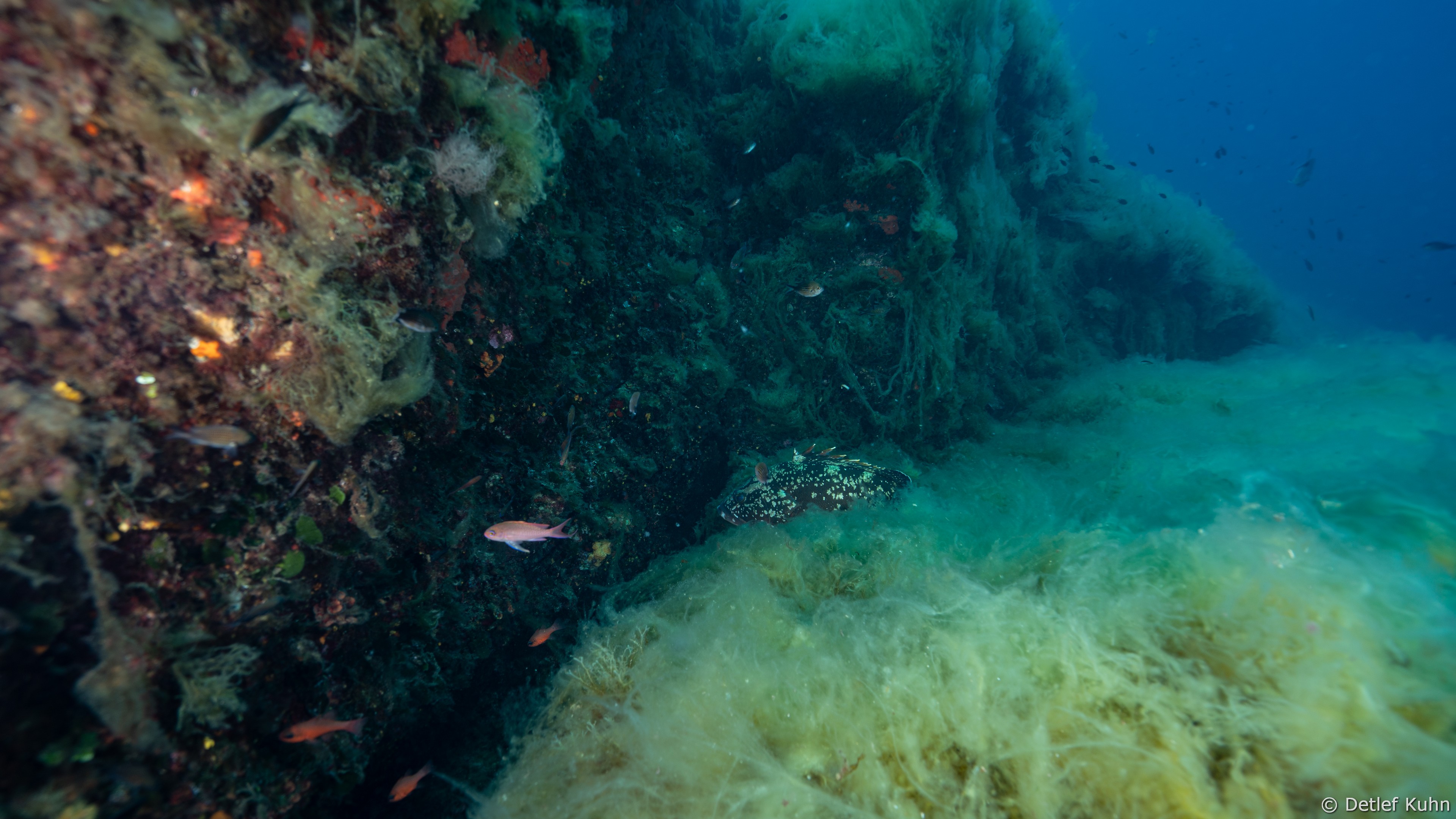Punta della Torretta	