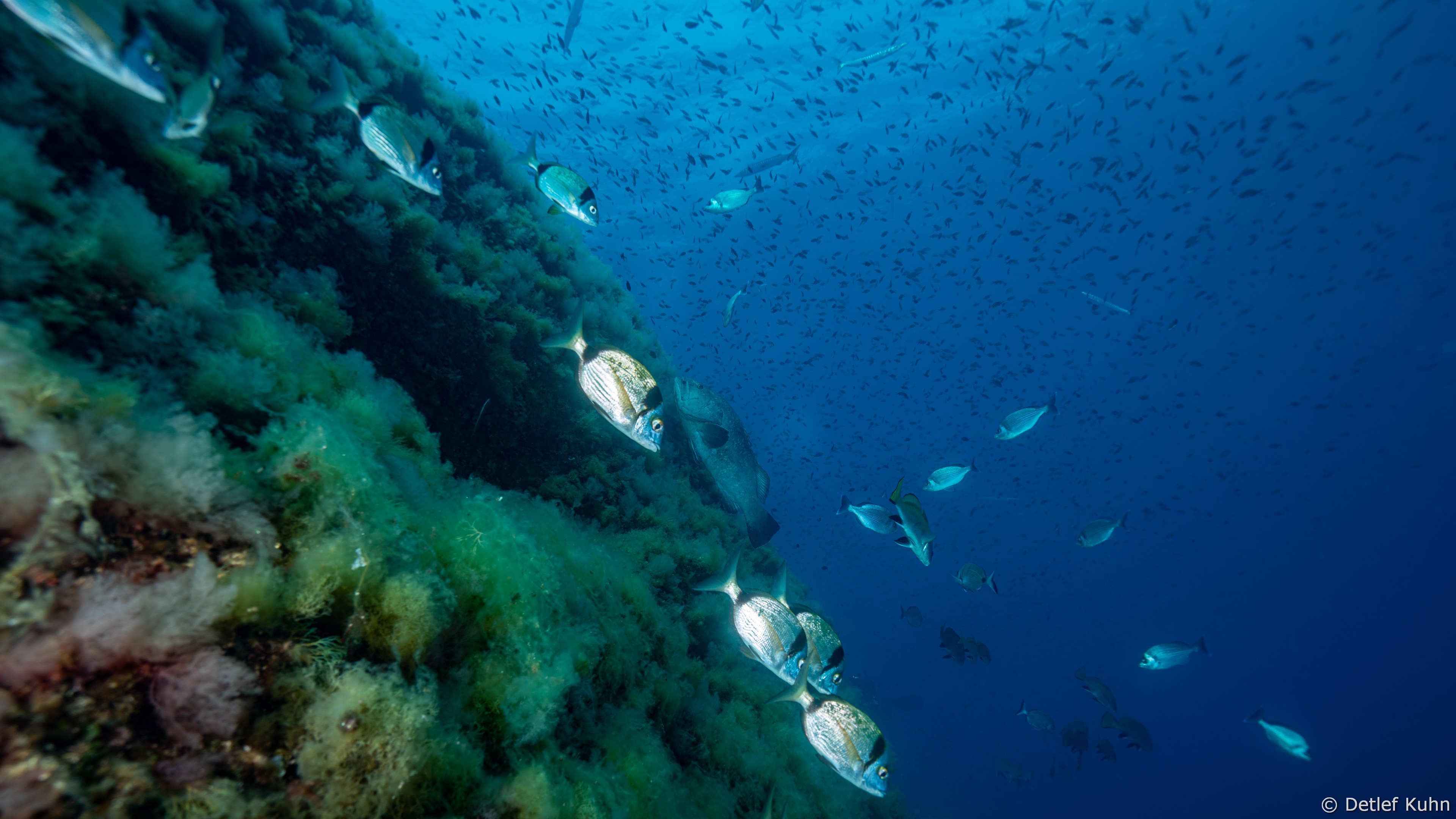 Punta della Torretta	