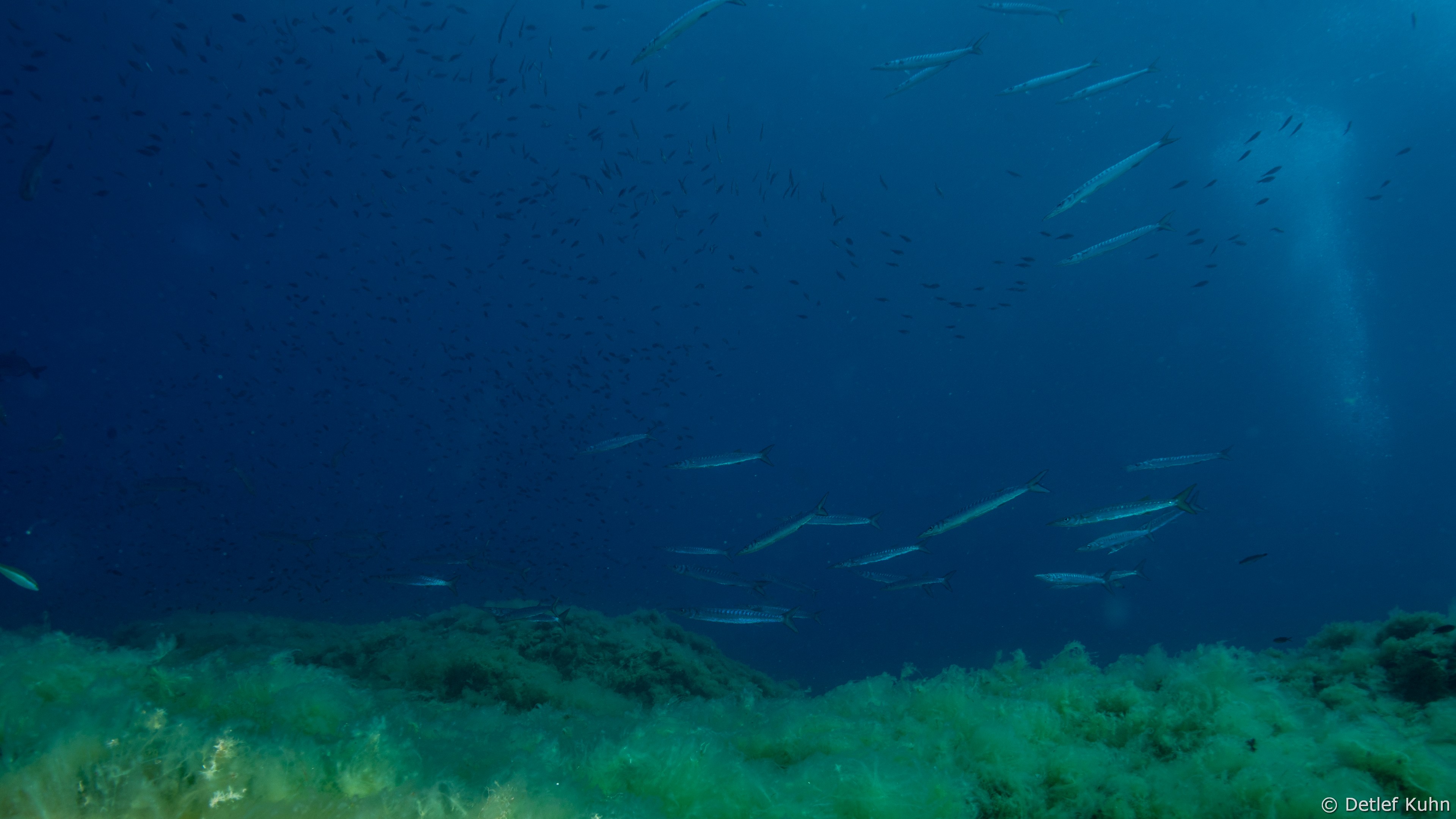 Punta della Torretta	