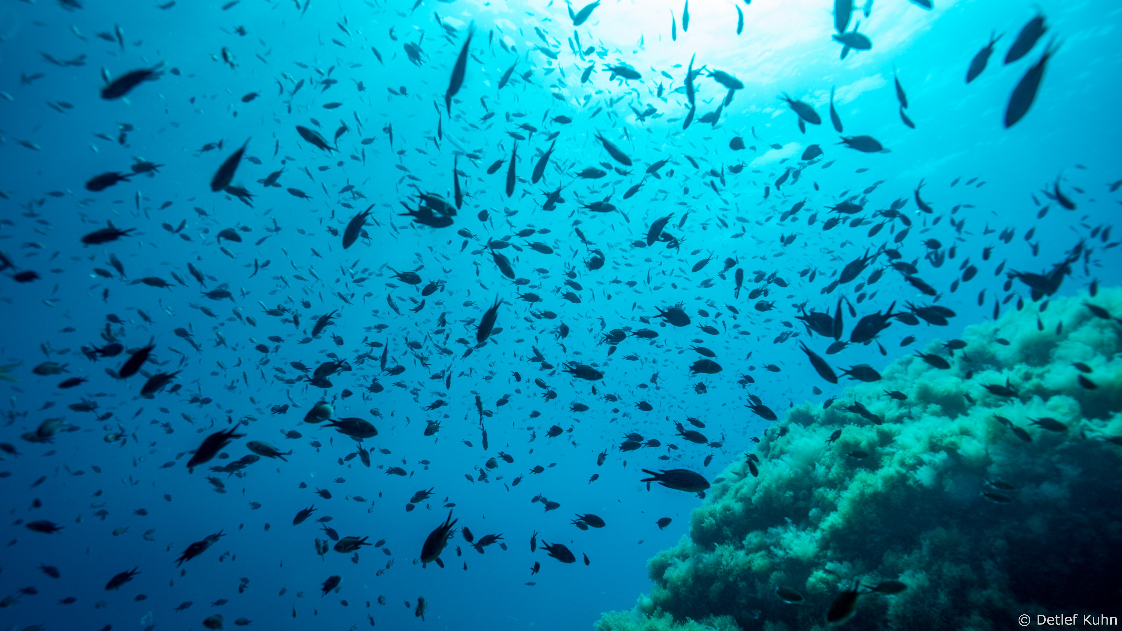Punta della Torretta	