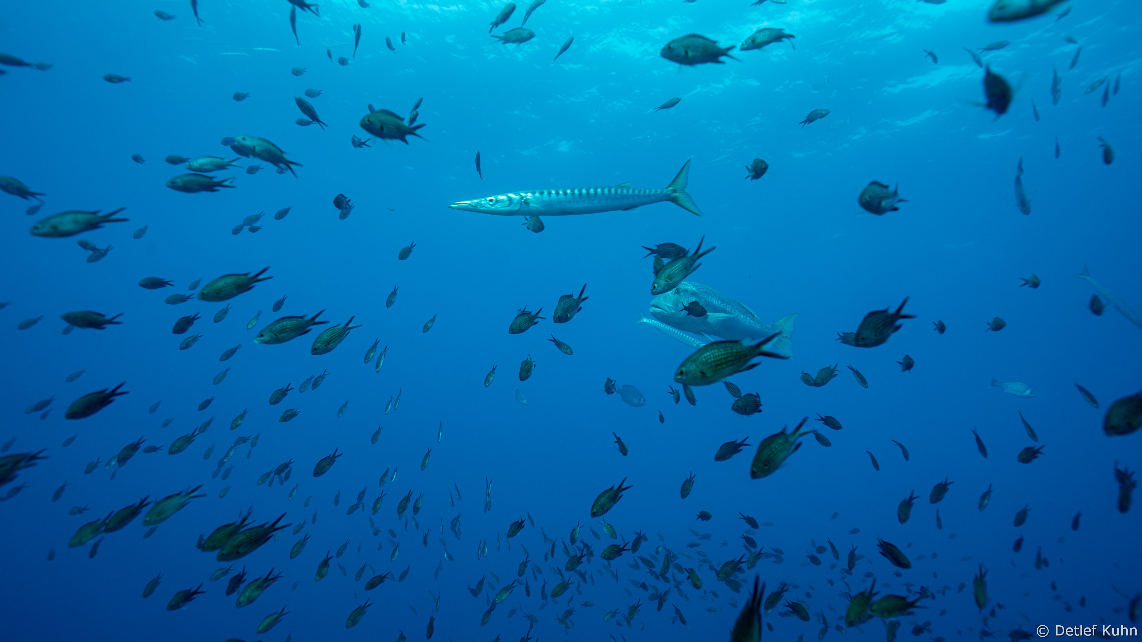 Punta della Torretta	