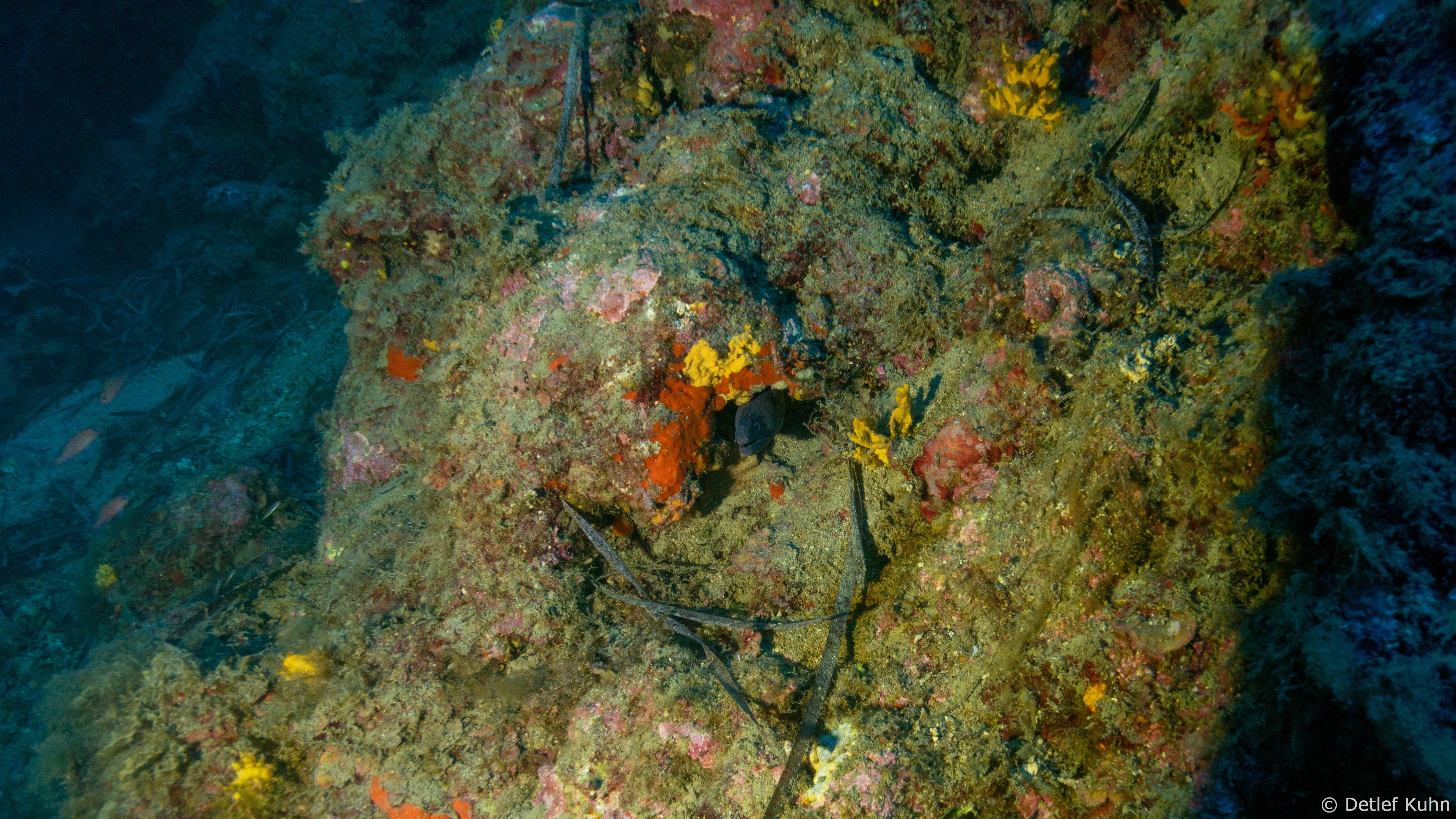 Punta Chiappa Levante	