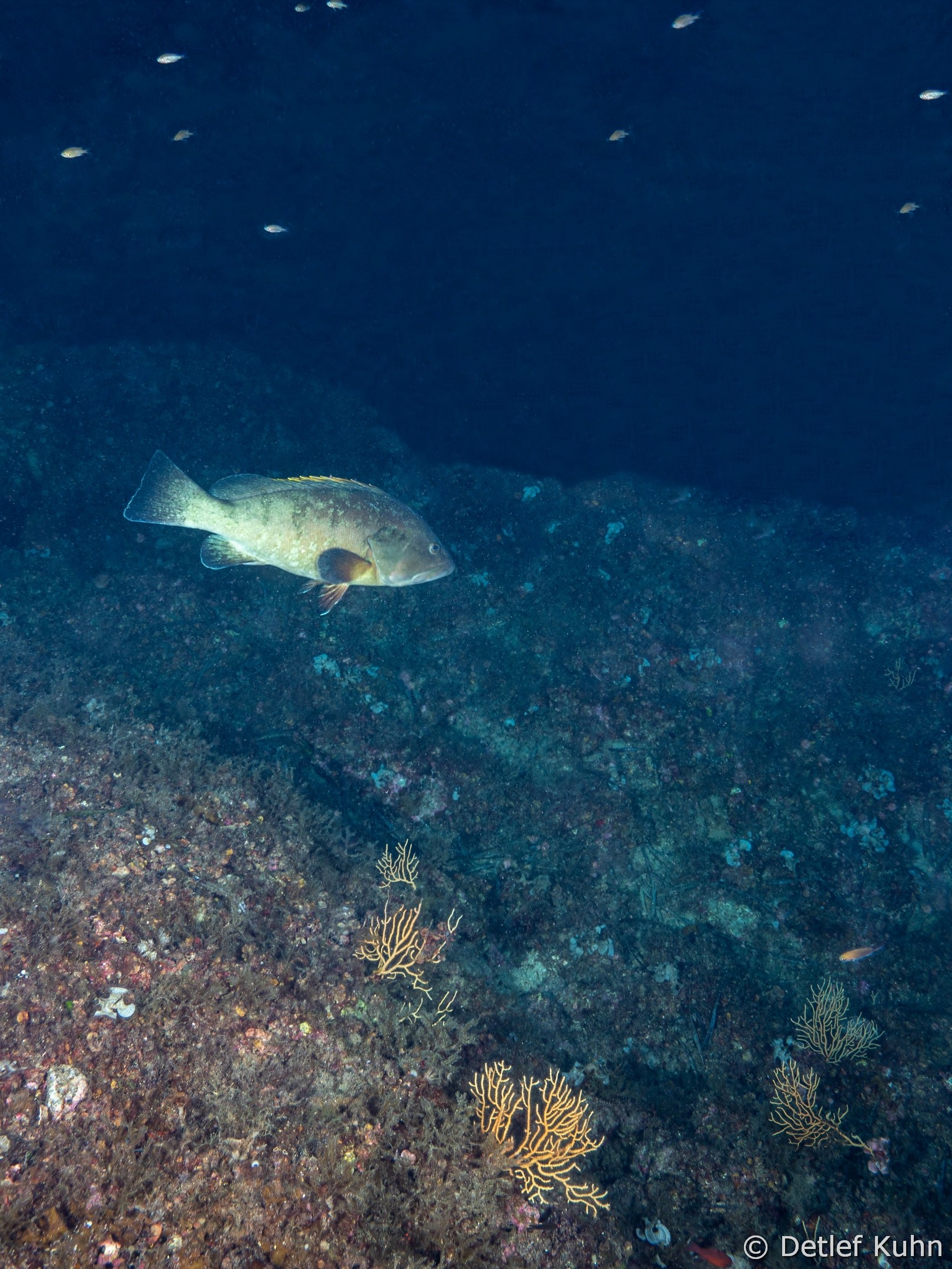 Punta Chiappa Levante	