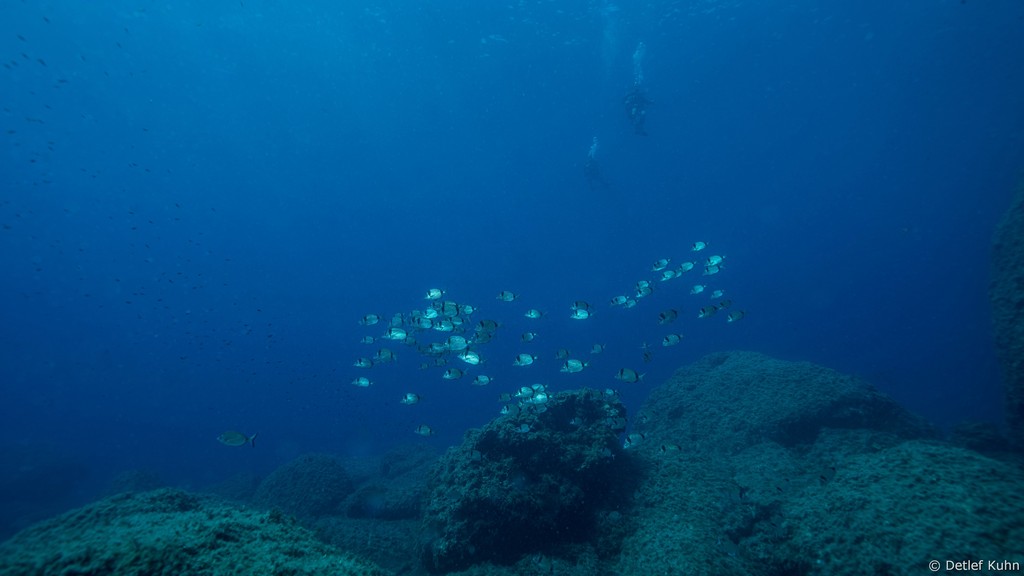 Punta della Targhetta	