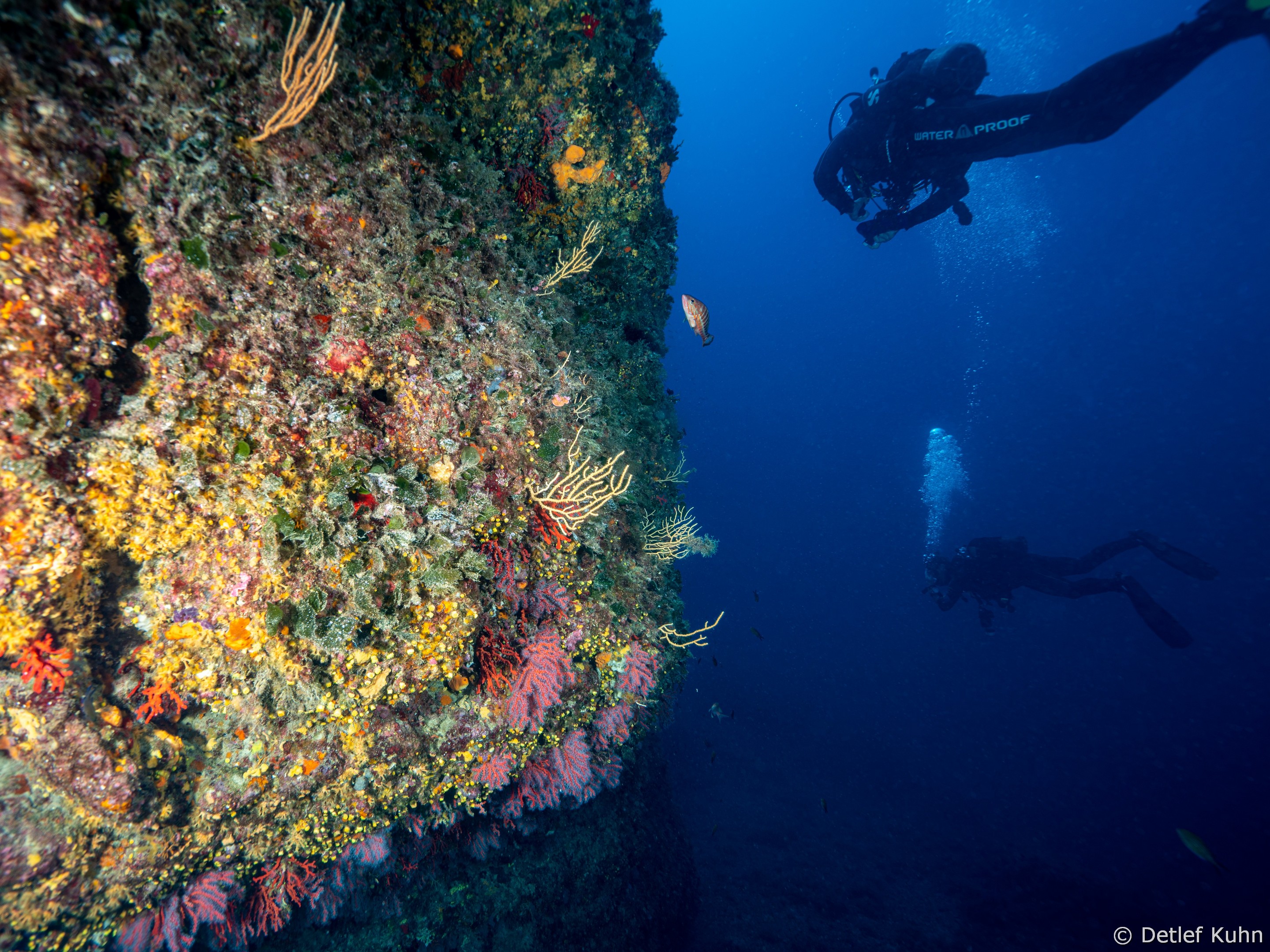Punta della Targhetta	