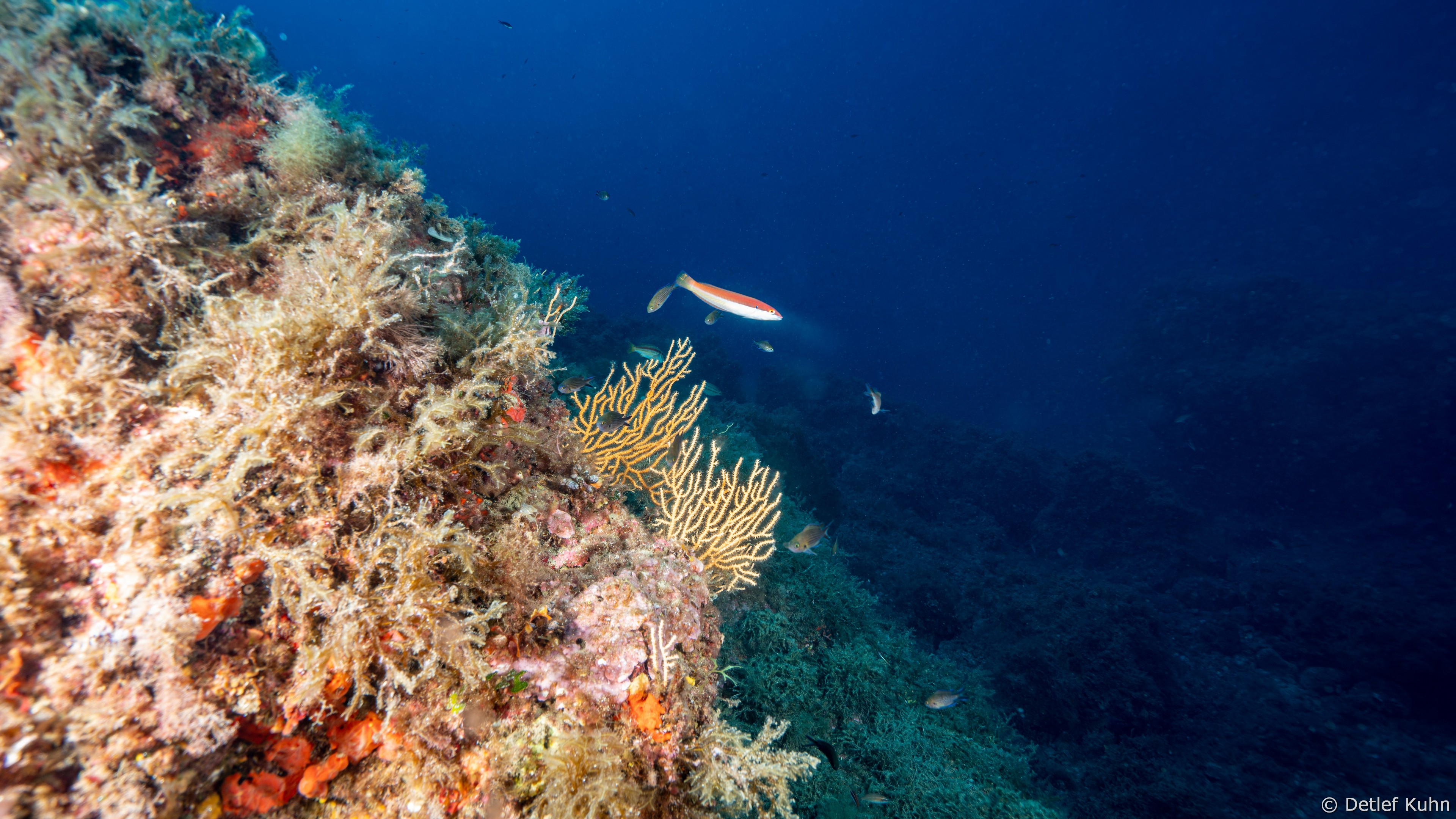 Punta della Targhetta	