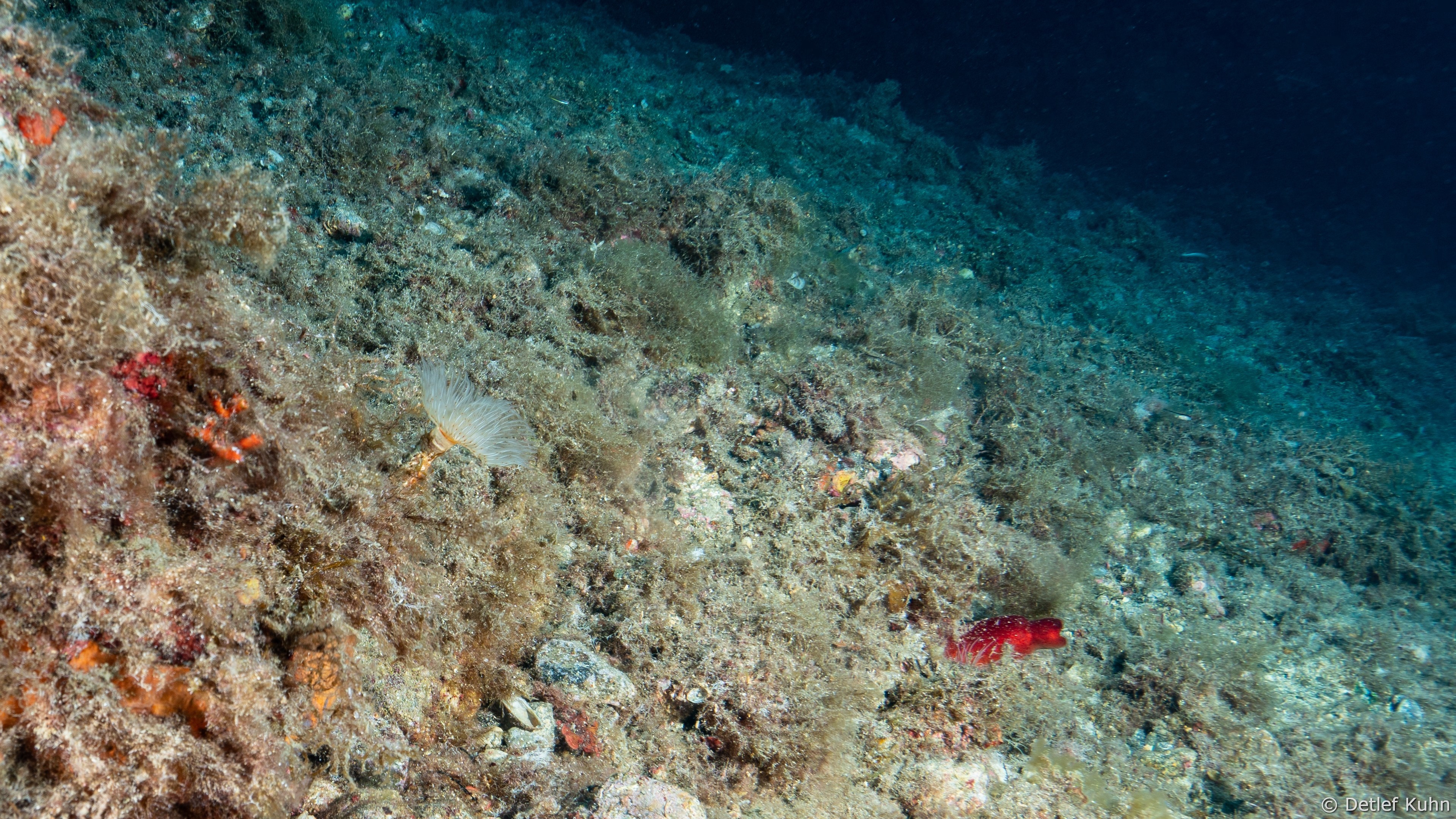 Punta della Targhetta	
