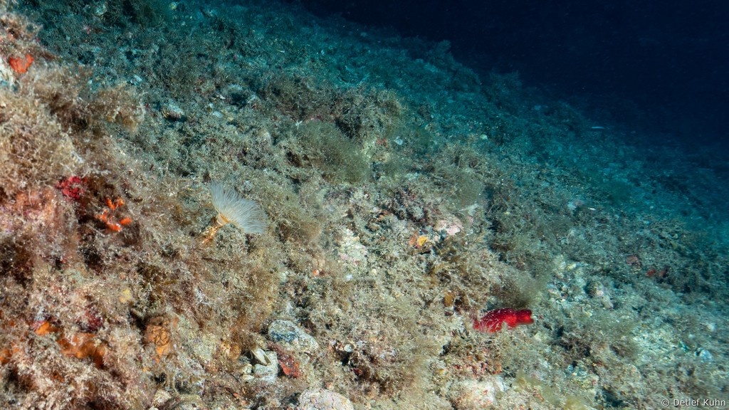 Punta della Targhetta	