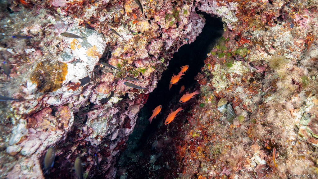Punta della Targhetta	