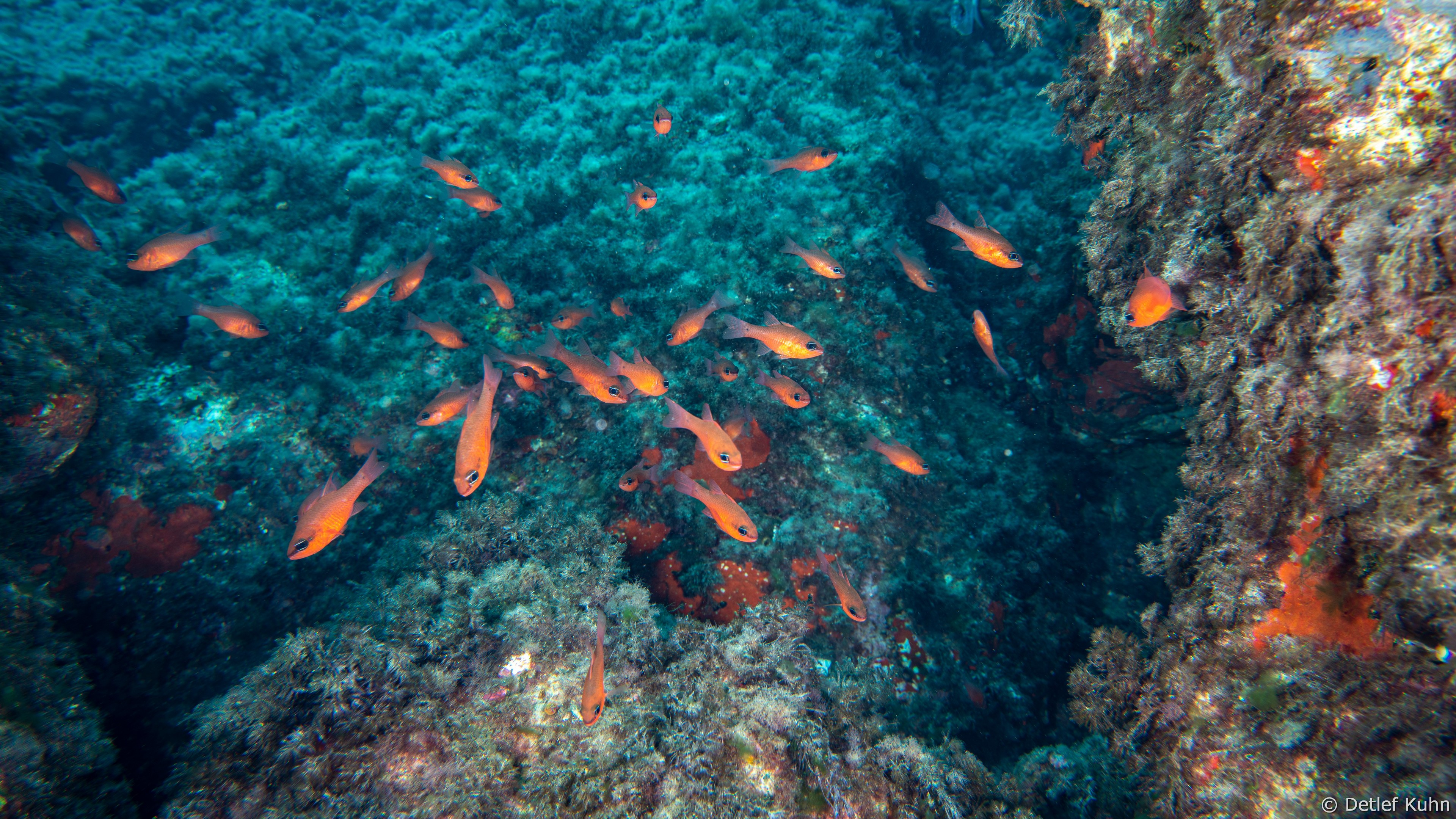 Punta Chiappa Ponente	